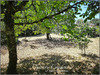 Ma-Cabane - Vente Terrain Sarlat-la-Caneda, 4642 m²