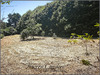 Ma-Cabane - Vente Terrain Sarlat-la-Caneda, 2320 m²