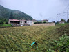 Ma-Cabane - Vente Terrain SARRAS, 1037 m²