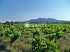 Ma-Cabane - Vente Terrain Sarrians, 8800 m²