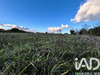 Ma-Cabane - Vente Terrain Sassay, 5290 m²