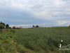Ma-Cabane - Vente Terrain SAUSSAN, 4448 m²