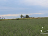 Ma-Cabane - Vente Terrain SAUSSAN, 4448 m²