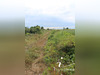 Ma-Cabane - Vente Terrain SAUSSAN, 4448 m²