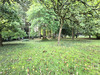 Ma-Cabane - Vente Terrain SAUTRON, 1300 m²