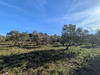 Ma-Cabane - Vente Terrain Sauve, 2000 m²