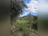 Ma-Cabane - Vente Terrain Sauve, 2000 m²