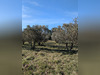 Ma-Cabane - Vente Terrain Sauve, 2000 m²