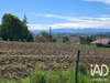 Ma-Cabane - Vente Terrain Sauveterre-de-Béarn, 3229 m²