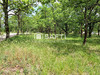 Ma-Cabane - Vente Terrain Sauzet, 1219 m²