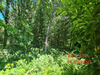 Ma-Cabane - Vente Terrain SCAER, 45519 m²