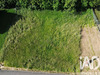 Ma-Cabane - Vente Terrain Schweighouse-Thann, 741 m²