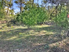 Ma-Cabane - Vente Terrain Seillans, 5900 m²