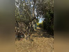 Ma-Cabane - Vente Terrain Seillons-Source-d'Argens, 723 m²