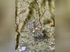 Ma-Cabane - Vente Terrain Seillons-Source-d'Argens, 723 m²