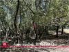 Ma-Cabane - Vente Terrain SELLES SUR CHER, 3200 m²