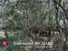 Ma-Cabane - Vente Terrain SELLES SUR CHER, 3200 m²