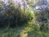 Ma-Cabane - Vente Terrain SELLES-SUR-CHER, 860 m²