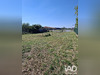 Ma-Cabane - Vente Terrain Séméac, 900 m²