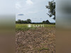 Ma-Cabane - Vente Terrain Semoussac, 2715 m²