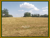 Ma-Cabane - Vente Terrain SEMUR EN AUXOIS, 16810 m²