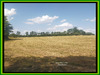 Ma-Cabane - Vente Terrain SEMUR EN AUXOIS, 16810 m²