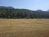 Ma-Cabane - Vente Terrain Séranon, 2000 m²