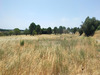 Ma-Cabane - Vente Terrain SERNHAC, 7942 m²