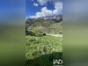 Ma-Cabane - Vente Terrain Serraval, 493 m²
