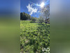 Ma-Cabane - Vente Terrain Serraval, 493 m²