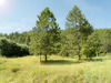 Ma-Cabane - Vente Terrain SERRES, 5167 m²
