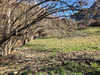 Ma-Cabane - Vente Terrain SERVOZ, 730 m²
