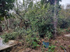 Ma-Cabane - Vente Terrain SETE, 805 m²