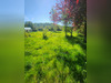 Ma-Cabane - Vente Terrain Setques, 1048 m²