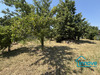 Ma-Cabane - Vente Terrain Seysses, 712 m²