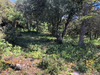 Ma-Cabane - Vente Terrain SIMIANE LA ROTONDE, 13700 m²