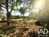 Ma-Cabane - Vente Terrain Sorgues, 300 m²