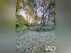 Ma-Cabane - Vente Terrain Soulac-sur-Mer, 800 m²