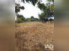 Ma-Cabane - Vente Terrain Soulaines-sur-Aubance, 2400 m²