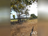 Ma-Cabane - Vente Terrain Soulaines-sur-Aubance, 2400 m²