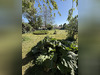 Ma-Cabane - Vente Terrain Suippes, 750 m²