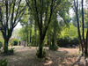Ma-Cabane - Vente Terrain TALLER, 2500 m²