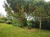 Ma-Cabane - Vente Terrain TALMONT SAINT HILAIRE, 9295 m²