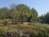 Ma-Cabane - Vente Terrain Talmont-Saint-Hilaire, 0 m²