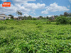 Ma-Cabane - Vente Terrain TAMPON, 579 m²