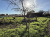 Ma-Cabane - Vente Terrain Taponnat-Fleurignac, 993 m²