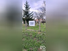 Ma-Cabane - Vente Terrain Targon, 598 m²