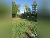Ma-Cabane - Vente Terrain Tercé, 1361 m²