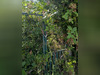 Ma-Cabane - Vente Terrain Tergnier, 341 m²