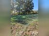 Ma-Cabane - Vente Terrain Terrasson-Lavilledieu, 977 m²